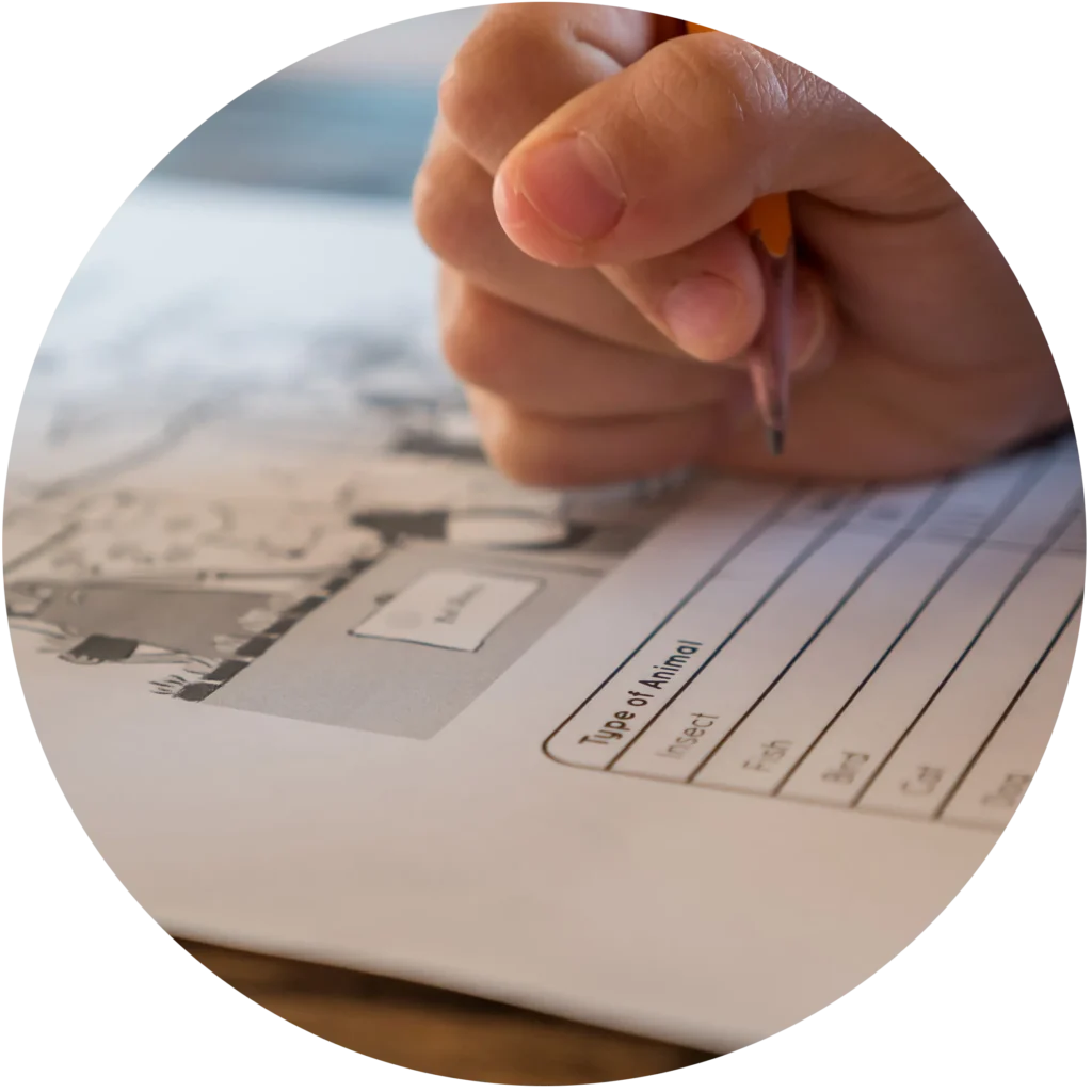 Szkoła językowa | Zajęcia z języka angielskiego